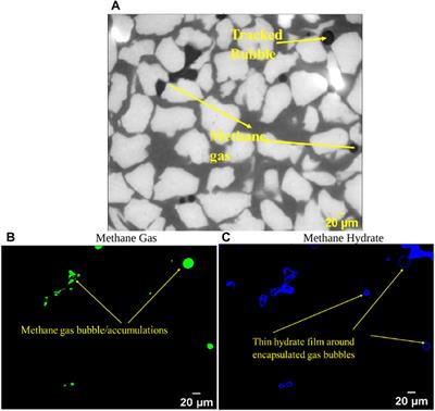Investigation of methane gas bubble dynamics and hydrate film growth during hydrate formation using 4-D time-lapse synchrotron X-ray computed tomography